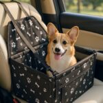 Accueil processed chatgpt image 2025年10月8日 22 24 51